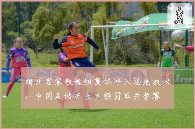 梅州客家教练组集体冲入场地抗议,中国足协开出巨额罚单并禁赛