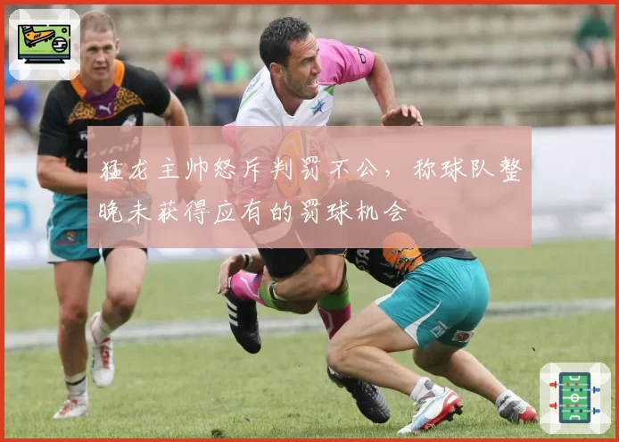 猛龙主帅怒斥判罚不公，称球队整晚未获得应有的罚球机会