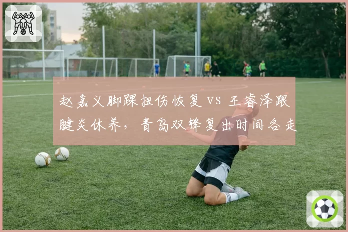 赵嘉义脚踝扭伤恢复 vs 王睿泽跟腱炎休养,青岛双锋复出时间各走各路