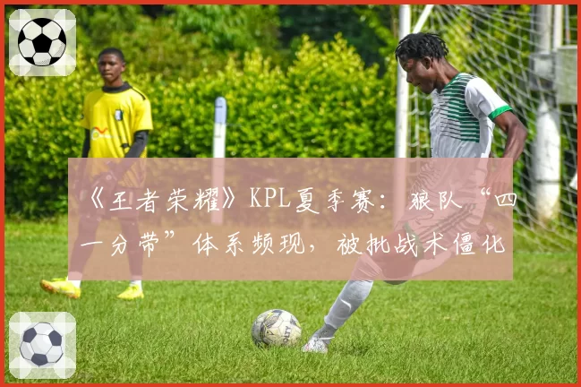 《王者荣耀》KPL夏季赛:狼队“四一分带”体系频现,被批战术僵化缺乏创新
