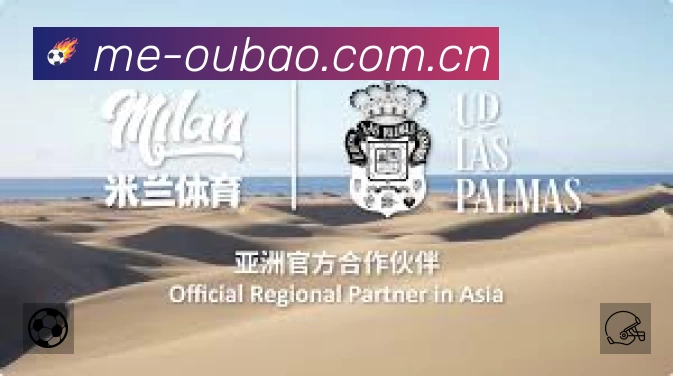 多类型检索